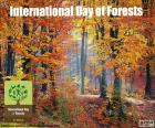 Uluslararası Orman Günü